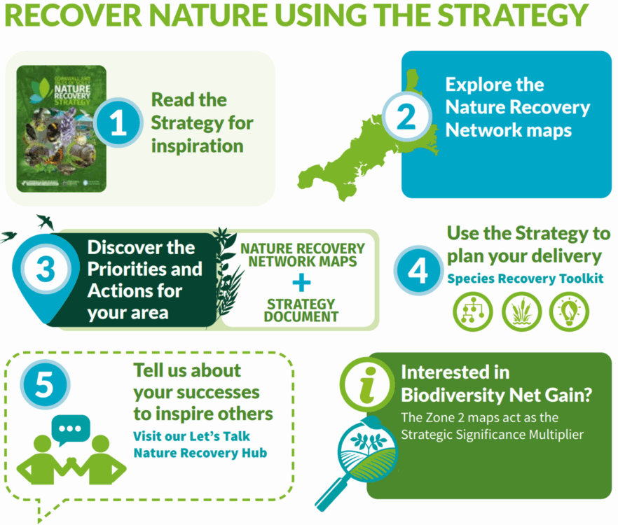 Steps to using the nature recovery strategy